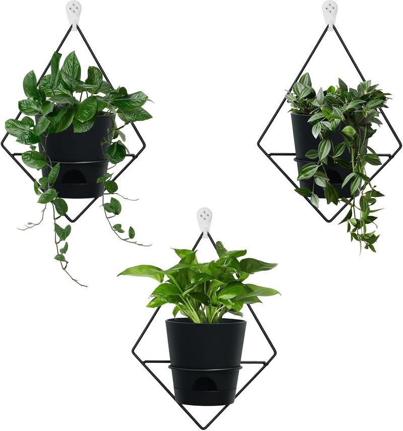 Koalaime 3 Sets Wall Planters for Indoor Plants Geometric Hanging Planters for Indoor Plants - Self-Watering Flower Pots with Black Metal Holder, Mounted Succulent Planter, 5" Black Plant Pot - Image 1